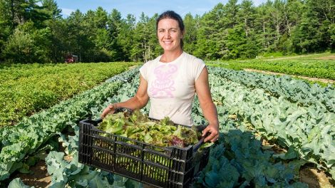 Απάντηση-ee-σε-ερώτηση-Δ.-Τσιόδρα:-205-εκατομμύρια-ευρώ-για-την-προώθηση-ευρωπαϊκών-αγροδιατροφικών-προϊόντων