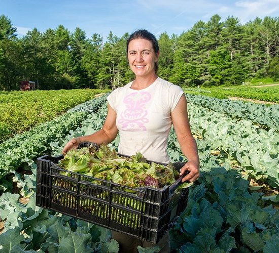Απάντηση-ee-σε-ερώτηση-Δ.-Τσιόδρα:-205-εκατομμύρια-ευρώ-για-την-προώθηση-ευρωπαϊκών-αγροδιατροφικών-προϊόντων