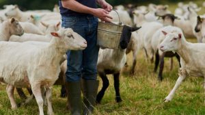 «Η-Κύπρος-δεν-είναι-μόνη-της.-Η-Ελλάδα-όμως-είναι-και-αυτό-δεν-είναι-ατύχημα,-είναι-επιλογή»