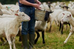 «Η-Κύπρος-δεν-είναι-μόνη-της.-Η-Ελλάδα-όμως-είναι-και-αυτό-δεν-είναι-ατύχημα,-είναι-επιλογή»