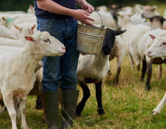 «Η-Κύπρος-δεν-είναι-μόνη-της.-Η-Ελλάδα-όμως-είναι-και-αυτό-δεν-είναι-ατύχημα,-είναι-επιλογή»