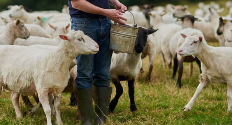 «Η-Κύπρος-δεν-είναι-μόνη-της.-Η-Ελλάδα-όμως-είναι-και-αυτό-δεν-είναι-ατύχημα,-είναι-επιλογή»