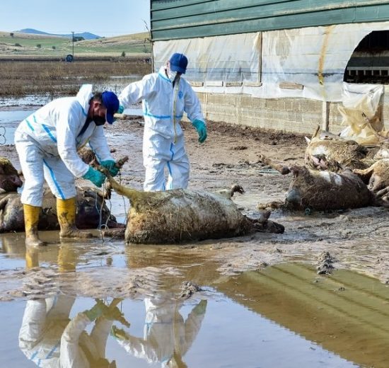 ΑΚΚΕΛ:-«Το-πογκρόμ-κατά-του-αγροτικού-κόσμου-ή-όταν-η-εξόντωση-γίνεται-πολιτική»