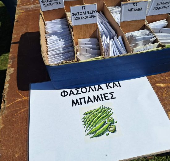 Κομοτηνή:-Μεγάλη-συμμετοχή-κόσμου-στην-εκδήλωση-των-Σποριτών-Ροδόπης-για-τη-δωρεάν-διάθεση-σπόρων-παραδοσιακών-ποικιλιών-(φωτος-+video)