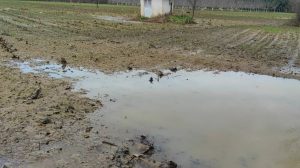 Σταύρος-Κοσουτζής-:-«Στον-νομό-Ροδόπης-φέτος-οι-αγρότες-βρεθήκαμε-μπροστά-σε-μια-πολύ-δύσκολη-κατάσταση»