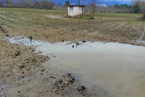 Σταύρος-Κοσουτζής-:-«Στον-νομό-Ροδόπης-φέτος-οι-αγρότες-βρεθήκαμε-μπροστά-σε-μια-πολύ-δύσκολη-κατάσταση»