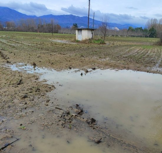 Σταύρος-Κοσουτζής-:-«Στον-νομό-Ροδόπης-φέτος-οι-αγρότες-βρεθήκαμε-μπροστά-σε-μια-πολύ-δύσκολη-κατάσταση»