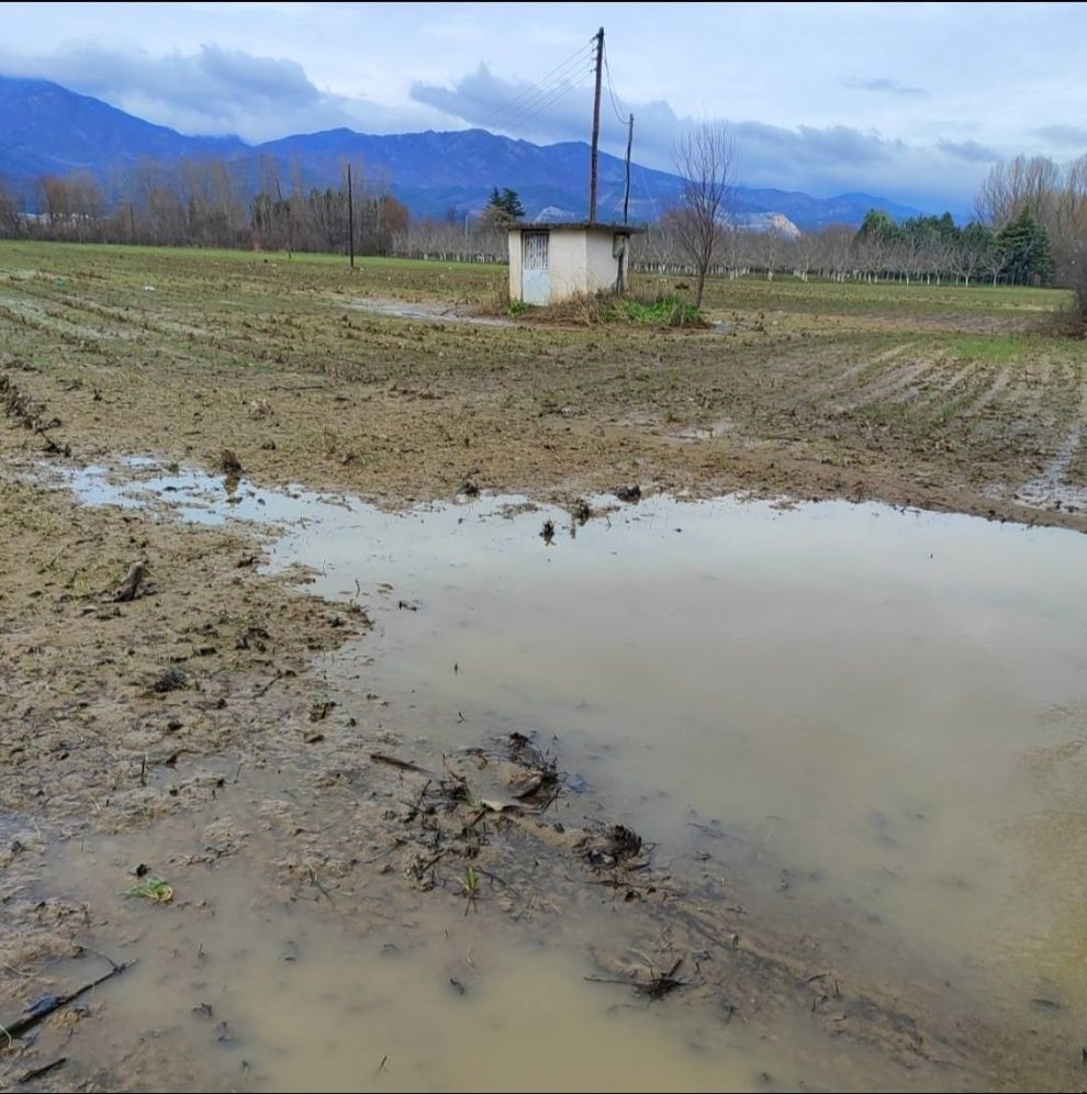 Σταύρος-Κοσουτζής-:-«Στον-νομό-Ροδόπης-φέτος-οι-αγρότες-βρεθήκαμε-μπροστά-σε-μια-πολύ-δύσκολη-κατάσταση»