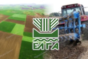 Ανακοίνωση-του-ΕΛΓΑ-για-τη-διαδικασία-αποζημίωσης-των-παραγωγών-που-επλήγησαν-από-πλημμύρες-και-παγετό