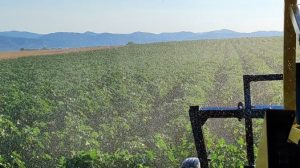 Σταύρος-Κοσουτζής,-αγρότης-:-«Αγροτικό-ρεύμα-και-τιμολόγιο-ΓΑΙΑ-:-Όταν-η-καθυστέρηση-των-επιδοτήσεων-οδηγεί-τους-αγρότες-σε-αδιέξοδο»