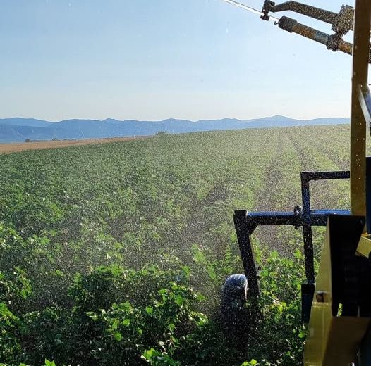 Σταύρος-Κοσουτζής,-αγρότης-:-«Αγροτικό-ρεύμα-και-τιμολόγιο-ΓΑΙΑ-:-Όταν-η-καθυστέρηση-των-επιδοτήσεων-οδηγεί-τους-αγρότες-σε-αδιέξοδο»