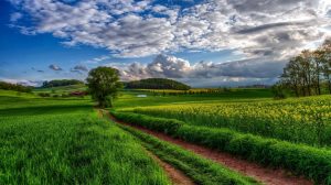 Ερώτηση-στη-Βουλή-για-το-αν-υπάρχει-κίνδυνος-αναστολής-καταβολής-των-αγροτικών-ενισχύσεων