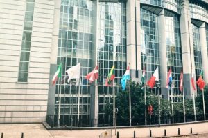 ΑΚΚΕΛ:-Η-συμφωνία-ΕΕ–Νέας-Ζηλανδίας-είναι-το-τελικό-χτύπημα.-Η-Ελληνική-κτηνοτροφία-θυσιάζεται-συνειδητά