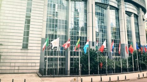 ΑΚΚΕΛ:-Η-συμφωνία-ΕΕ–Νέας-Ζηλανδίας-είναι-το-τελικό-χτύπημα.-Η-Ελληνική-κτηνοτροφία-θυσιάζεται-συνειδητά