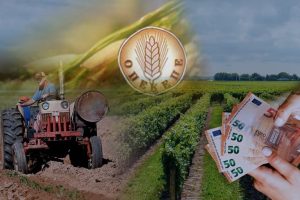 Σιμπέλ-Μουσταφάογλου,-Μέλος-ΝΕ-ΠΑΣΟΚ-Ροδόπης-:-«ΤΕΛΟΣ-ΣΤΗ-ΔΙΑΦΘΟΡΑ-,-ΣΤΗΡΙΞΗ-ΣΤΟΥΣ-ΠΑΡΑΓΩΓΟΥΣ»