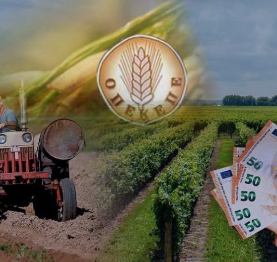 Σιμπέλ-Μουσταφάογλου,-Μέλος-ΝΕ-ΠΑΣΟΚ-Ροδόπης-:-«ΤΕΛΟΣ-ΣΤΗ-ΔΙΑΦΘΟΡΑ-,-ΣΤΗΡΙΞΗ-ΣΤΟΥΣ-ΠΑΡΑΓΩΓΟΥΣ»