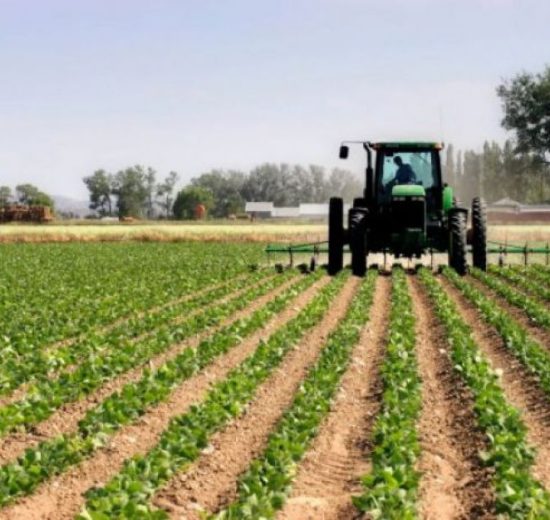 Αγροτικά:-Η-Ευρωπαϊκή-Επιτροπή-σχεδιάζει-την-οικονομική-ενίσχυση-για-καύσιμα-και-λιπάσματα