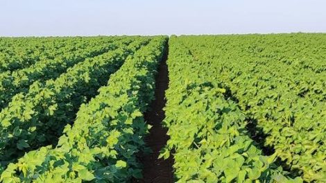 Παραίτηση-Λαζαρίδη-Τι-γίνεται-στο-ΥΠΑΑΤ;-Ποιο-θα-είναι-το-μέλλον-των-αγροτών,-όταν-η-Ροδόπη-εξακολουθεί-να-στερείται-ολοκληρωμένων-υποδομών;