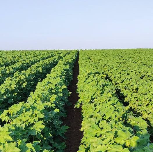 Παραίτηση-Λαζαρίδη-Τι-γίνεται-στο-ΥΠΑΑΤ;-Ποιο-θα-είναι-το-μέλλον-των-αγροτών,-όταν-η-Ροδόπη-εξακολουθεί-να-στερείται-ολοκληρωμένων-υποδομών;