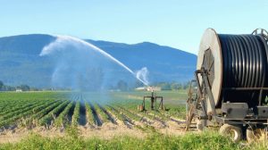 Ερώτηση-Ευριπίδη-Στυλιανίδη-για-τους-απλήρωτους-αγρότες-της-Ροδόπης