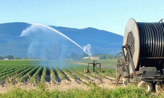 Ερώτηση-Ευριπίδη-Στυλιανίδη-για-τους-απλήρωτους-αγρότες-της-Ροδόπης