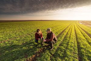 Το-ΑΚΚΕΛ-προσέφυγε-στον-Συνήγορο-του-Πολίτη-για-δίκαιες-και-ρεαλιστικές-αποζημιώσεις-των-κτηνοτρόφων