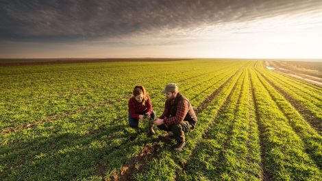 Το-ΑΚΚΕΛ-προσέφυγε-στον-Συνήγορο-του-Πολίτη-για-δίκαιες-και-ρεαλιστικές-αποζημιώσεις-των-κτηνοτρόφων