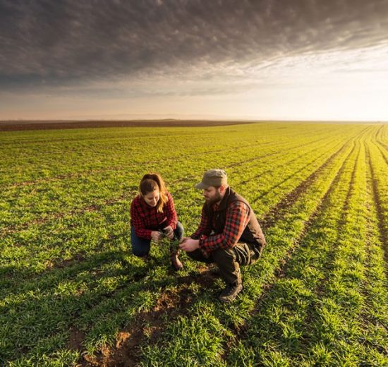 Το-ΑΚΚΕΛ-προσέφυγε-στον-Συνήγορο-του-Πολίτη-για-δίκαιες-και-ρεαλιστικές-αποζημιώσεις-των-κτηνοτρόφων