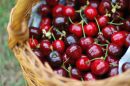 Πόσα-πληρώνει-ο-Ευρωπαίος-καταναλωτής-για-το-Κεράσι-με-την-υψηλότερη-τιμή-στον-Έλληνα-παραγωγό