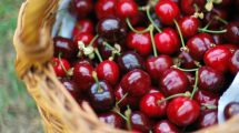 Πόσα-πληρώνει-ο-Ευρωπαίος-καταναλωτής-για-το-Κεράσι-με-την-υψηλότερη-τιμή-στον-Έλληνα-παραγωγό