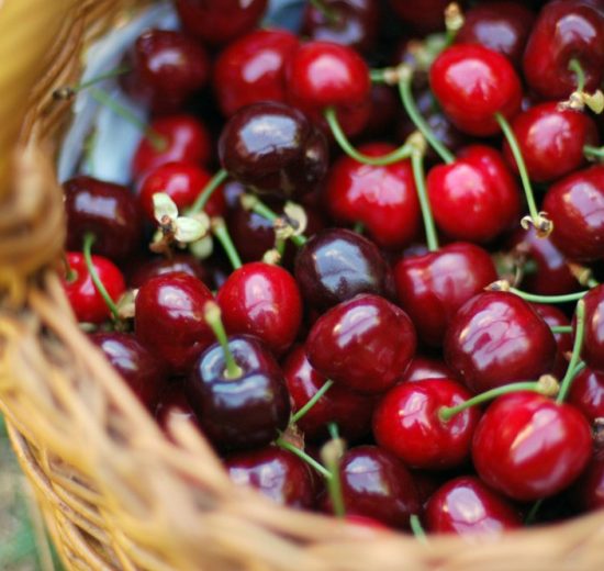 Πόσα-πληρώνει-ο-Ευρωπαίος-καταναλωτής-για-το-Κεράσι-με-την-υψηλότερη-τιμή-στον-Έλληνα-παραγωγό