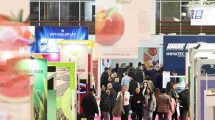 freskon-2026:-Ισχυρό-διεθνές-αποτύπωμα-με-αύξηση-32%-στους-ξένους-εμπορικούς-επισκέπτες