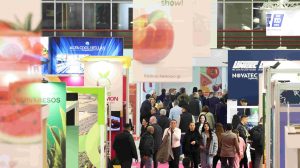 freskon-2026:-Ισχυρό-διεθνές-αποτύπωμα-με-αύξηση-32%-στους-ξένους-εμπορικούς-επισκέπτες