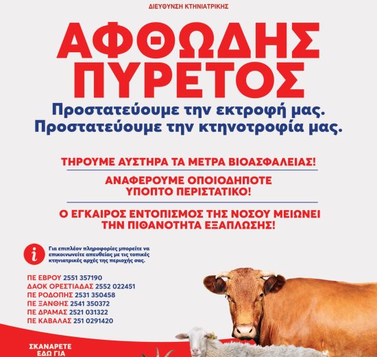 Περιφέρεια-ΑΜΘ:-Ενημερωτικό-υλικό-για-τον-αφθώδη-πυρετό-και-οδηγίες-προς-ταξιδιώτες-σε-τέσσερις-γλώσσες