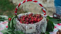 edessa-cherry-festival-|-Στην-πόλη-των-νερών,-το-κεράσι-γίνεται-γιορτή-στο-πιο-γλυκό-φεστιβάλ-του-καλοκαιριού