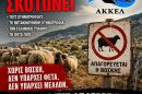 ΑΚΚΕΛ:-Το-υπουργείο-καταστρέφει-τη-μετακινούμενη-κτηνοτροφία-και-υπονομεύει-τη-φέτα-ΠΟΠ-στο-όνομα-μιας-αποτυχημένης-πολιτικής