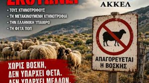 ΑΚΚΕΛ:-Το-υπουργείο-καταστρέφει-τη-μετακινούμενη-κτηνοτροφία-και-υπονομεύει-τη-φέτα-ΠΟΠ-στο-όνομα-μιας-αποτυχημένης-πολιτικής