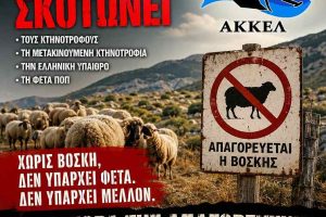 ΑΚΚΕΛ:-Το-υπουργείο-καταστρέφει-τη-μετακινούμενη-κτηνοτροφία-και-υπονομεύει-τη-φέτα-ΠΟΠ-στο-όνομα-μιας-αποτυχημένης-πολιτικής