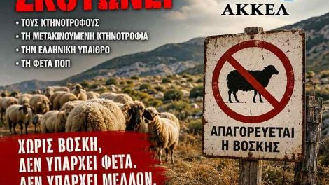 ΑΚΚΕΛ:-Το-υπουργείο-καταστρέφει-τη-μετακινούμενη-κτηνοτροφία-και-υπονομεύει-τη-φέτα-ΠΟΠ-στο-όνομα-μιας-αποτυχημένης-πολιτικής