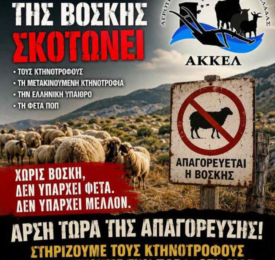 ΑΚΚΕΛ:-Το-υπουργείο-καταστρέφει-τη-μετακινούμενη-κτηνοτροφία-και-υπονομεύει-τη-φέτα-ΠΟΠ-στο-όνομα-μιας-αποτυχημένης-πολιτικής