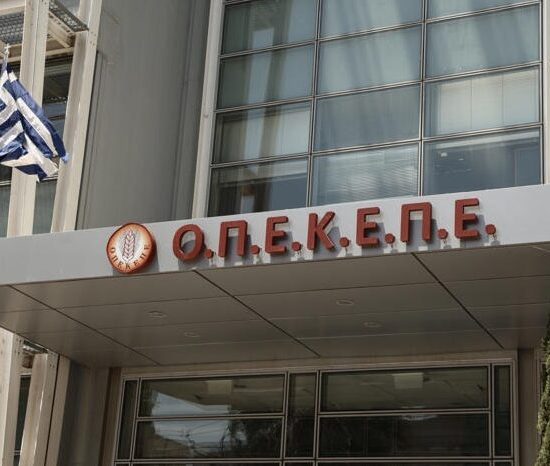 Στη-φυλακή-τρεις-για-το-κύκλωμα-του-ΟΠΕΚΕΠΕ-στη-Βόρεια-Ελλάδα
