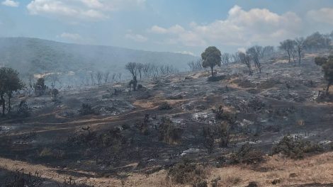 Πυρκαγιά-σημειώθηκε-σε-αγροτοδασική-έκταση-της-περιοχής-Παλιάς-Κρωβύλης-Δήμου-Μαρώνειας-Σαπών