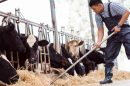 Χουσεΐν-Ζεϊμπέκ:-«Η-κυβέρνηση-γύρισε-την-πλάτη-στους-κτηνοτρόφους»