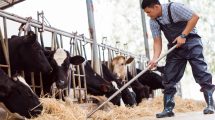 Χουσεΐν-Ζεϊμπέκ:-«Η-κυβέρνηση-γύρισε-την-πλάτη-στους-κτηνοτρόφους»