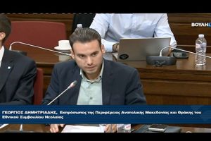 Από-τη-Θράκη-στη-Βουλή:-Η-πρόταση-του-Γιώργου-Δημητριάδη-για-ουσιαστική-συμμετοχή-των-νέων-στις-αποφάσεις