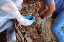 ΑΚΚΕΛ:-«Η-απάντηση-του-Υπουργείου-στο-Αγροτικό-Κτηνοτροφικό-Κόμμα-Ελλάδας-για-την-ευλογιά-είναι-προσβολή-προς-τους-κτηνοτρόφους-και-σαφέστατη-απόπειρα-συγκάλυψης»