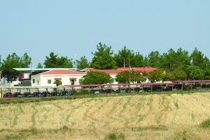 Ντίνος-Χαριτόπουλος-:-«Η-σιωπή-κοστίζει:-Χάθηκε-άλλη-μία-μάχη-για-τον-τόπο-με-την-υποβάθμιση-της-388-ΠΑΠ»