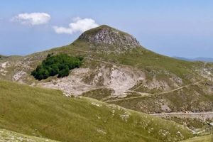 Παγγαίο:-Στο-επίκεντρο-των-δράσεων-του-ευρωπαϊκού-έργου-newlife4bioislands