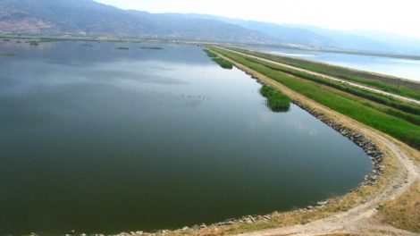 Εγκρίθηκε-νέο-αρδευτικό-έργο-για-6.200-στρέμματα-στο-Νομό-Ροδόπης