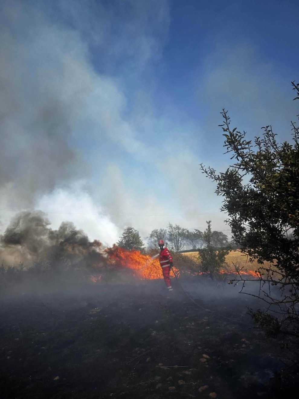 Φωτιά-στον-Ίμερο-Ροδόπης:-Σημαντική-η-συμβολή-των-εθελοντών-του-Ερυθρού-Σταυρού-στην-επιχείρηση